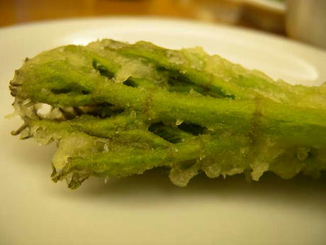 DSCN1006.jpg