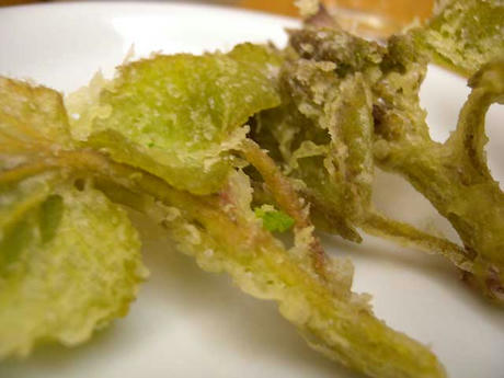 DSCN1009.jpg