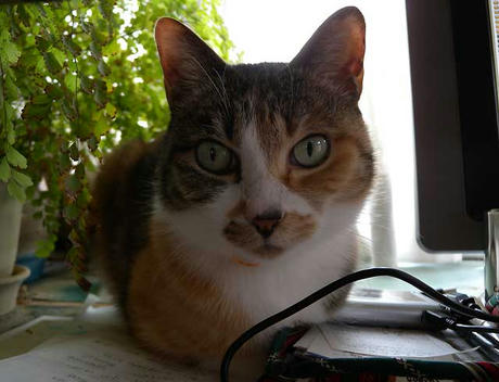 DSCN1148.jpg