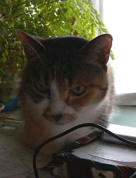 DSCN1149.jpg