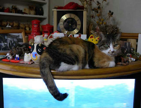 DSCN1196.jpg