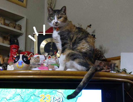 DSCN1206.jpg