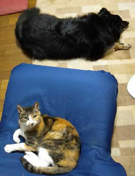 DSCN1166.jpg