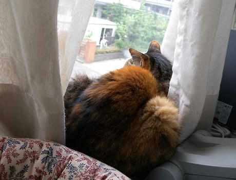 DSCN1277.jpg