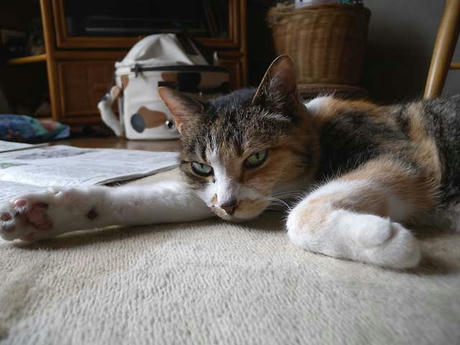 DSCN1308.jpg