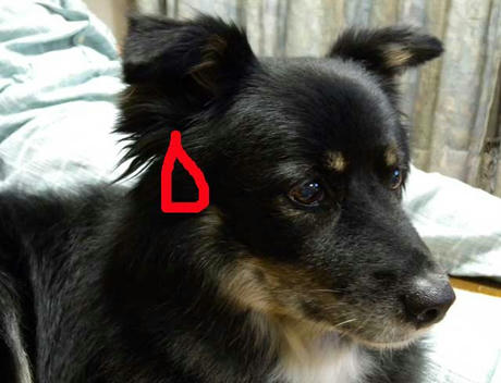 DSCN1314.jpg