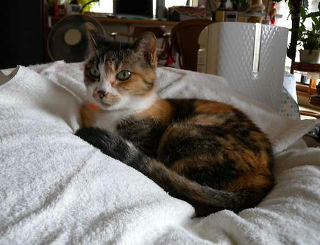 DSCN1341.jpg