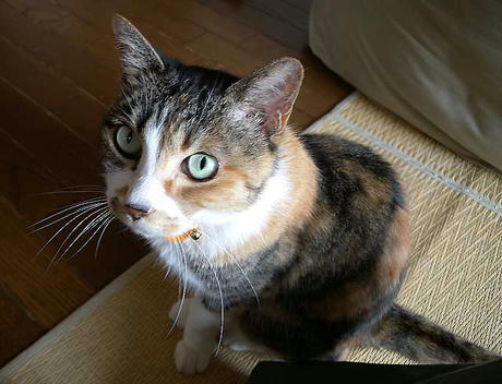 DSCN1368.jpg