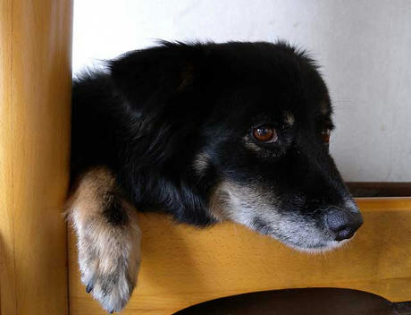 DSCN1373.jpg