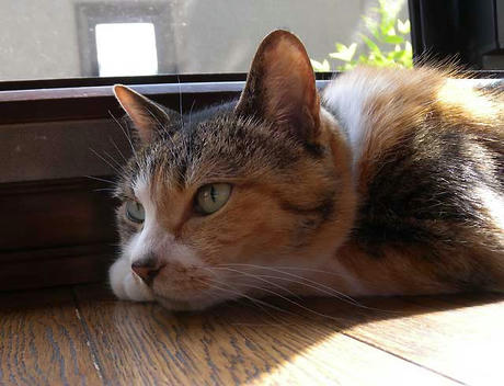 DSCN1385.jpg
