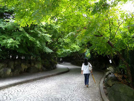 DSCN1429.jpg