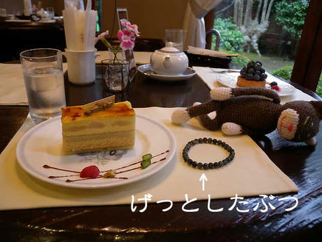 DSCN1434.jpg