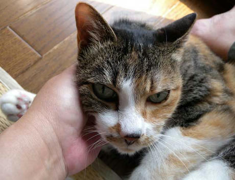 DSCN1377.jpg
