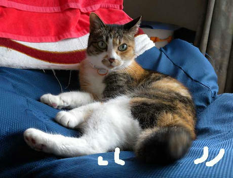 DSCN1451.jpg