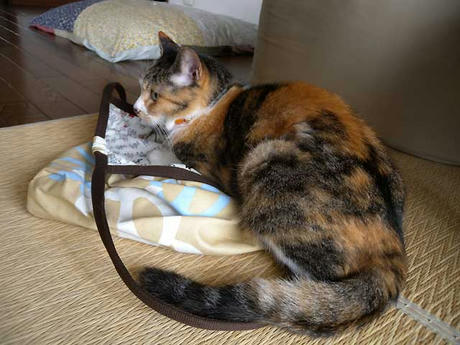 DSCN1478.jpg