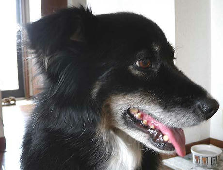 DSCN1486.jpg