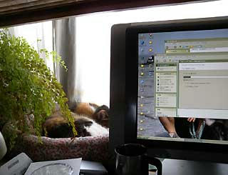 DSCN1490.jpg