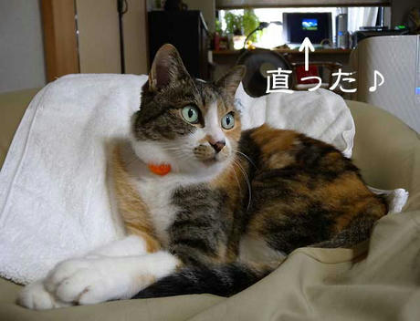DSCN1400.jpg
