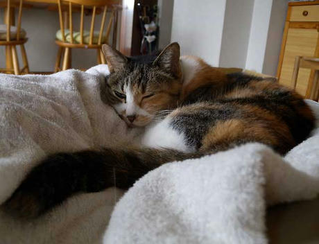 DSCN1498.jpg