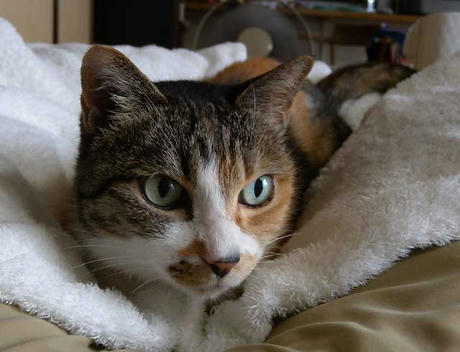 DSCN1491.jpg