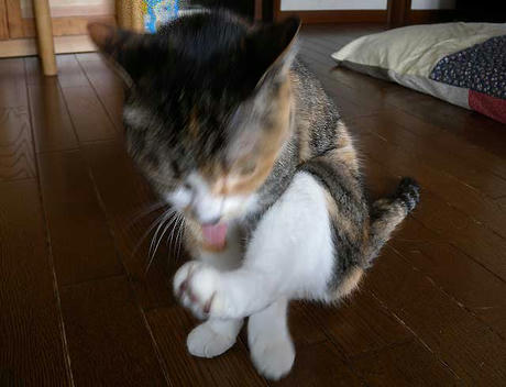 DSCN1362.jpg