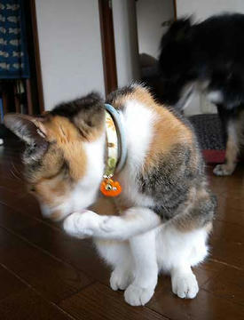 DSCN1365.jpg