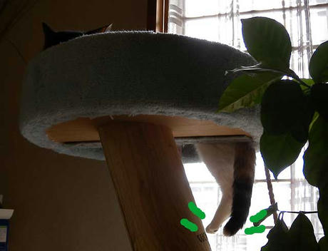 DSCN1519.jpg