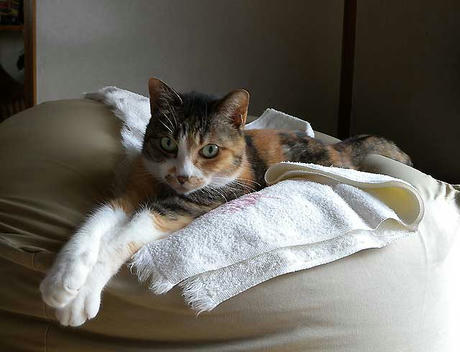 DSCN1528.jpg