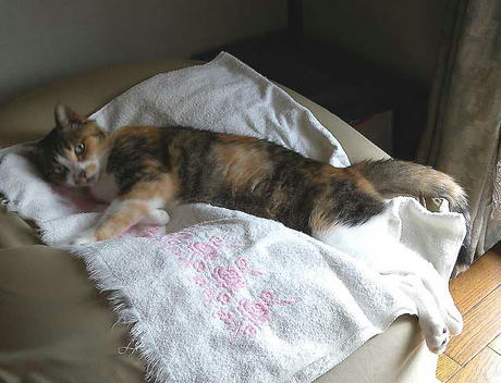 DSCN1529.jpg