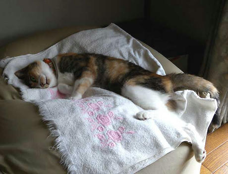 DSCN1530.jpg