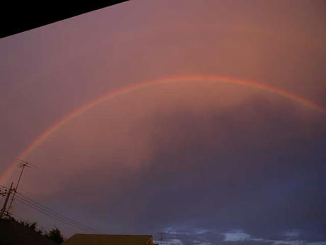 DSCN1533.jpg