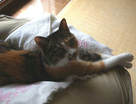 DSCN1525.jpg