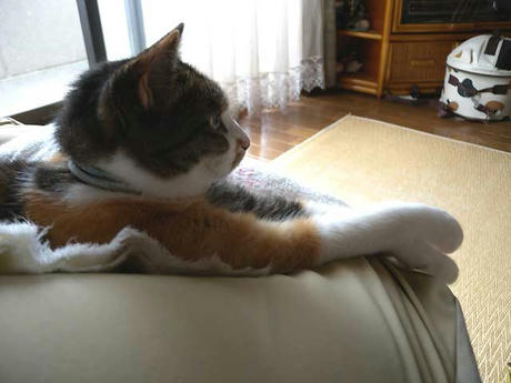 DSCN1527.jpg