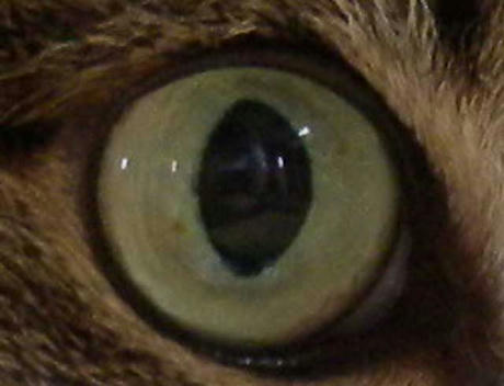 DSCN1472.jpg