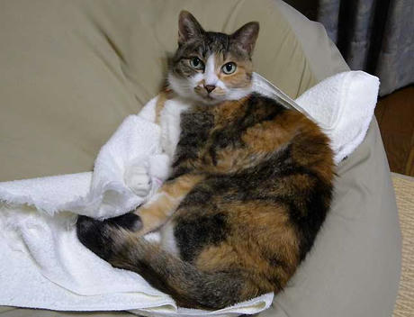 DSCN1556.jpg