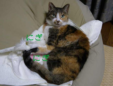 DSCN1558.jpg