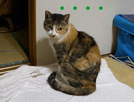 DSCN1559.jpg