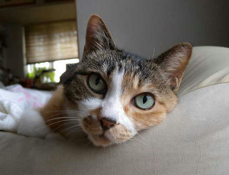 DSCN1554.jpg