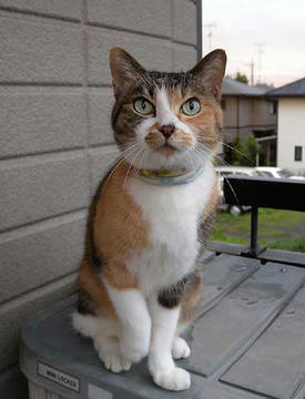 DSCN1564.jpg