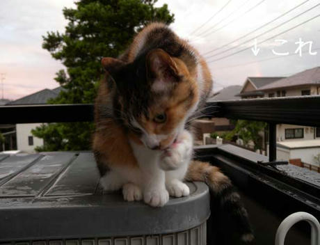 DSCN1573.jpg