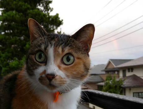 DSCN1584.jpg