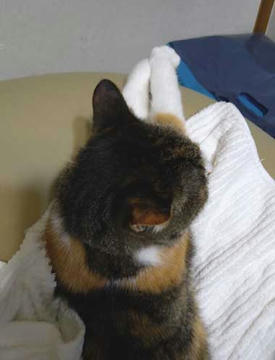 DSCN1616.jpg