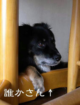 DSCN1625.jpg