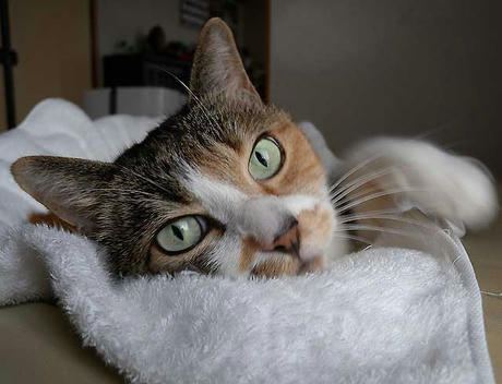 DSCN1627.jpg