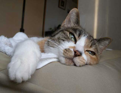 DSCN1634.jpg