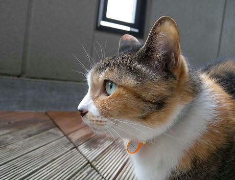 DSCN1643.jpg