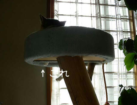 DSCN1649.jpg