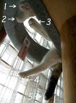 DSCN1651.jpg