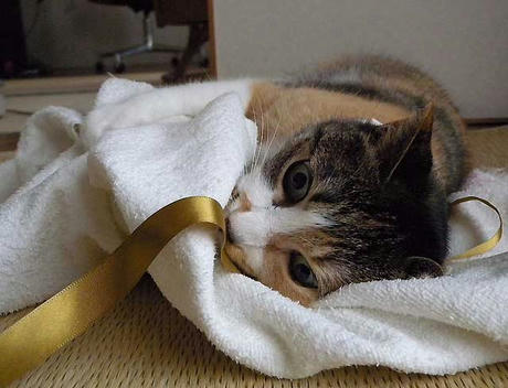 DSCN1680.jpg