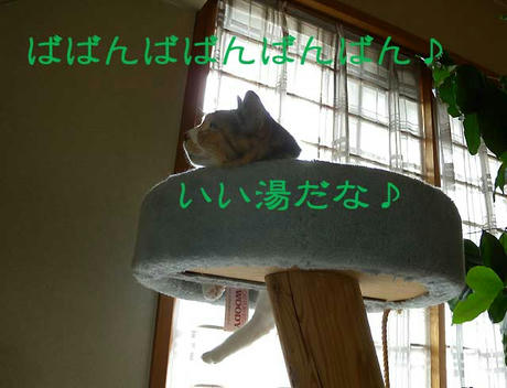 DSCN1669.jpg